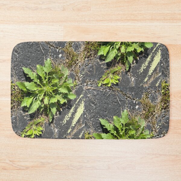 Item preview, Nature Photography  designed and sold by GraphicShinies.