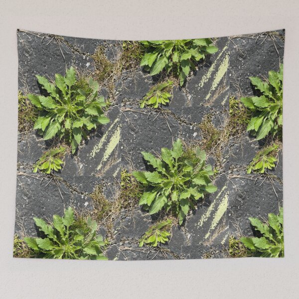 Item preview, Nature Photography  designed and sold by GraphicShinies.
