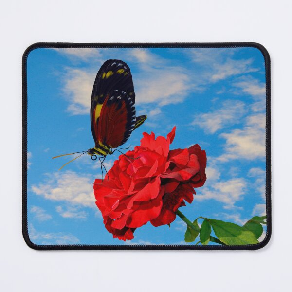 Item preview, Tiger longwing butterfly on a red rose designed and sold by Peter Etchells.