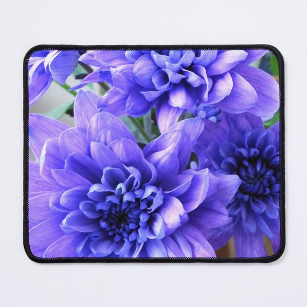 Item preview, Purple Chrysanthemums designed and sold by pinkal.