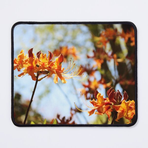 Item preview, Flame Azalea designed and sold by Cynthia48.