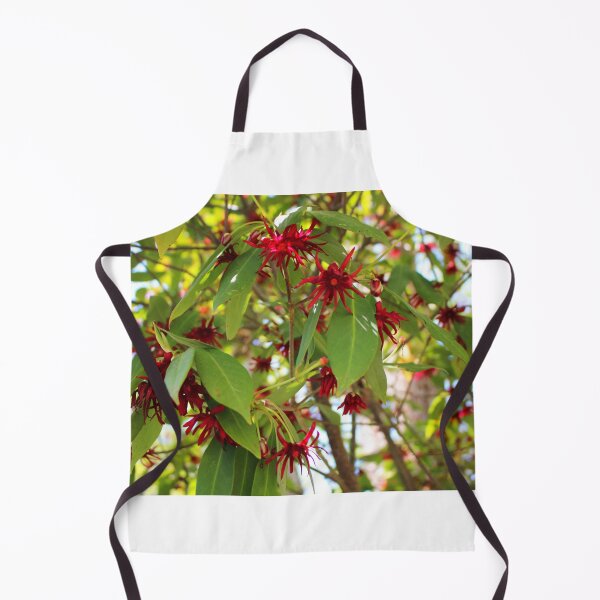 Item preview, Florida Anise Tree designed and sold by Cynthia48.