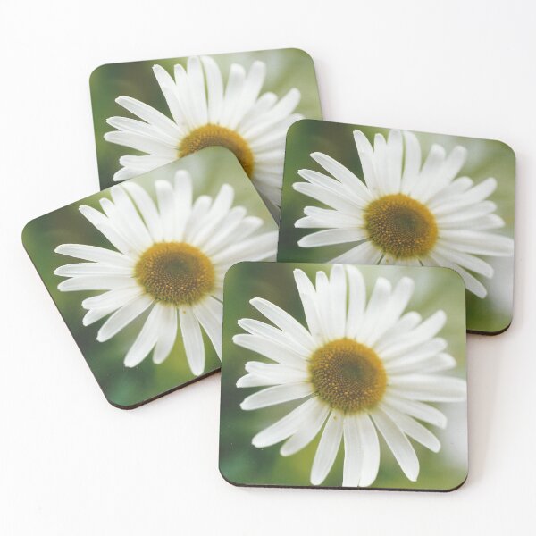 Item preview, White Oxeye Daisy Wildflower - Leucanthemum vulgare  designed and sold by Lily Rose Doodle.