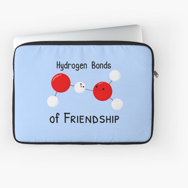 Hydrogen Bonds of Friendship Laptop Sleeve