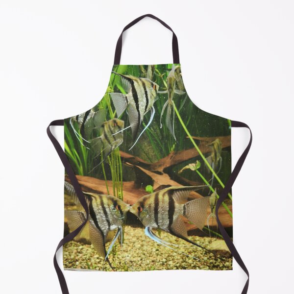 Item preview, Angelfish Kissing in Freshwater Aquarium designed and sold by Kainicram.