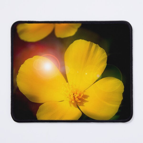 Item preview, Golden Poppies, Showy Flowers designed and sold by AMacGPhilly.