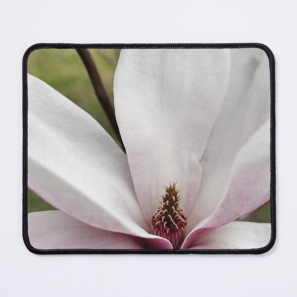 Item preview, Calming Pink White Blooming Magnolia designed and sold by vtspatial.