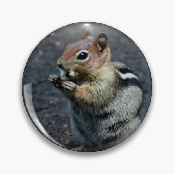Item preview, Raider at the Campground designed and sold by vernonplatt.