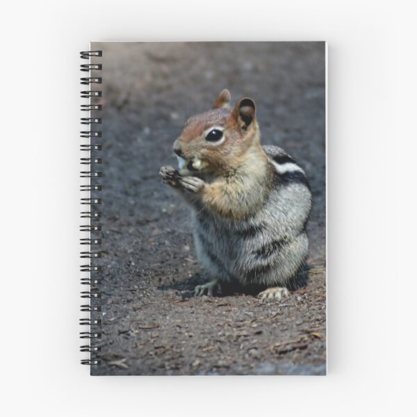 Item preview, Raider at the Campground designed and sold by vernonplatt.