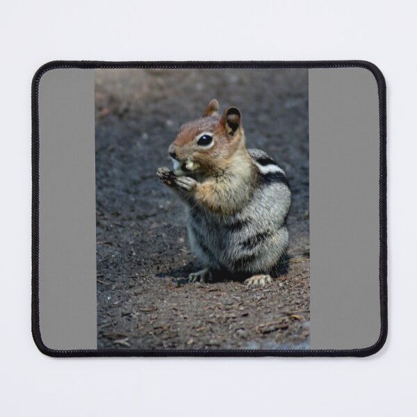 Item preview, Raider at the Campground designed and sold by vernonplatt.