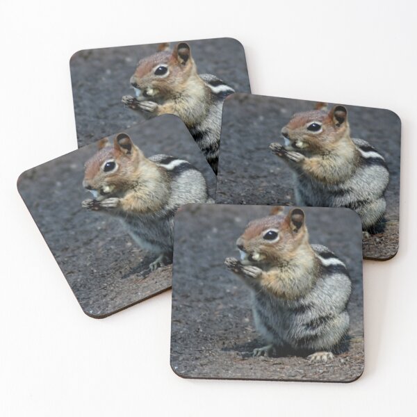 Item preview, Raider at the Campground designed and sold by vernonplatt.