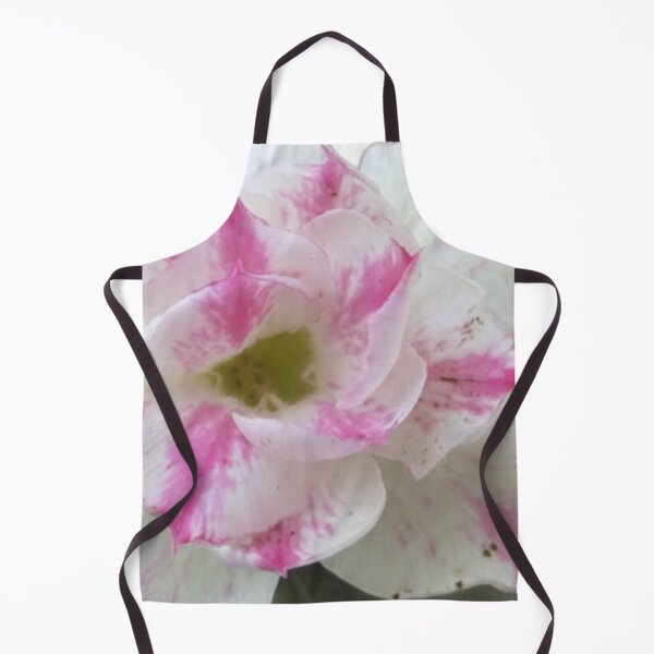Item preview, Beautiful Pink & White Adenium Flower Bloom designed and sold by stickerabhay.