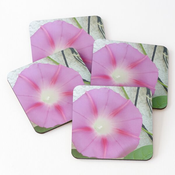Item preview, A morning glory in all its splendor designed and sold by MinasArt90.
