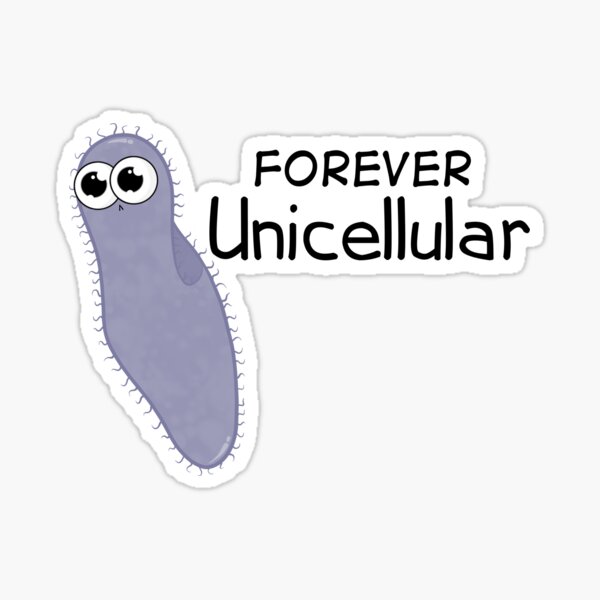 Artikel-Vorschau von Für immer allein Paramecium, designt und verkauft von The Amoeba Sisters Official Merch Shop.