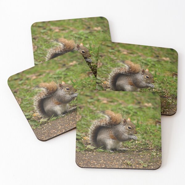 Item preview, Squirrel eating seeds designed and sold by DigiDragon7.