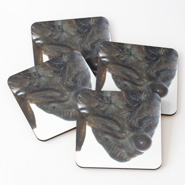 Item preview, Up Close Cicada Profile  designed and sold by 74VOIDart.