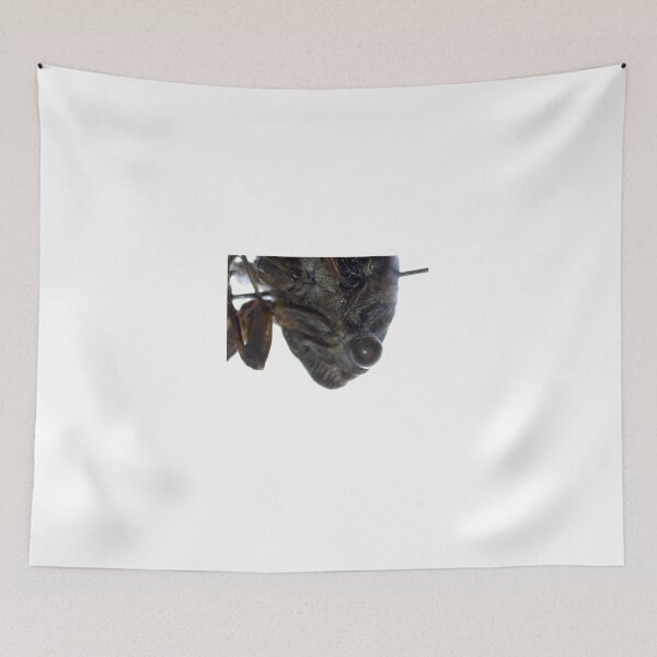 Item preview, Up Close Cicada Profile  designed and sold by 74VOIDart.