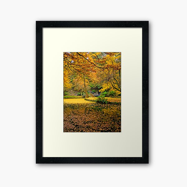 Item preview, Golden autumn colours at Alfred Nicholas Gardens designed and sold by Elana Bailey.