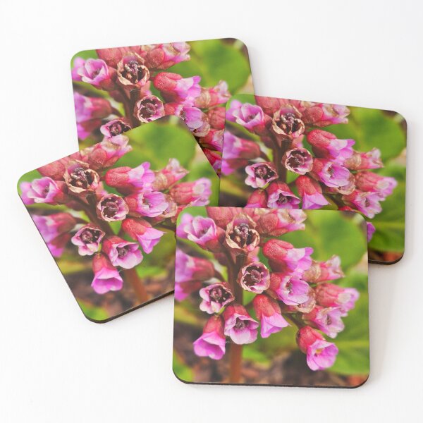 Item preview, Magenta  designed and sold by Courtney Croxall.