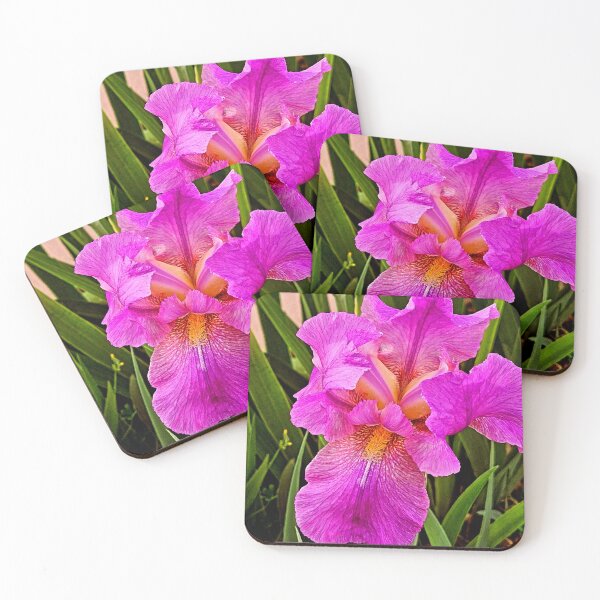 Item preview, Pink iris designed and sold by Courtney Croxall.