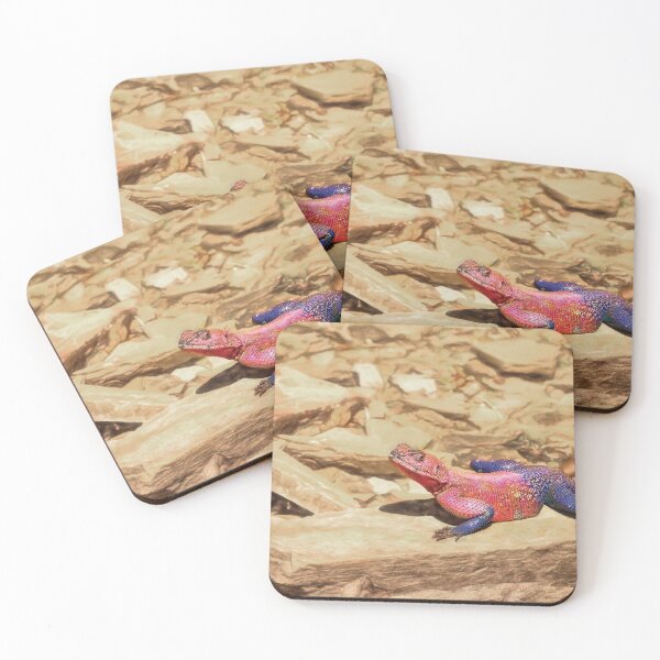 Item preview, Mwanza Flat-headed Rock Agama designed and sold by Kay Brewer.