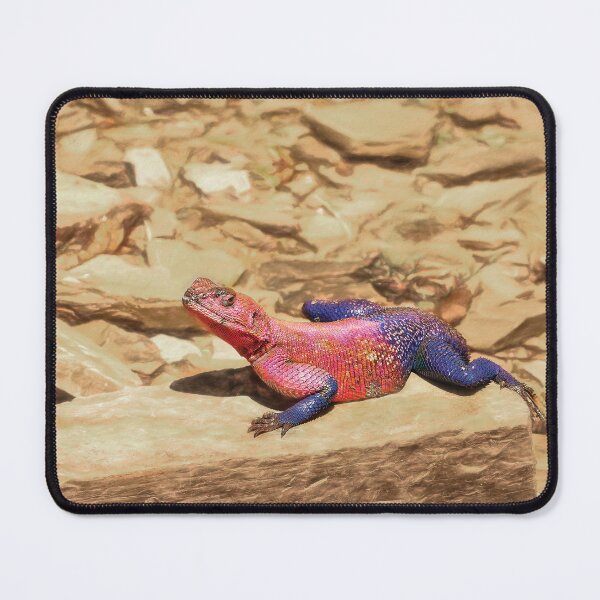 Item preview, Mwanza Flat-headed Rock Agama designed and sold by Kay Brewer.