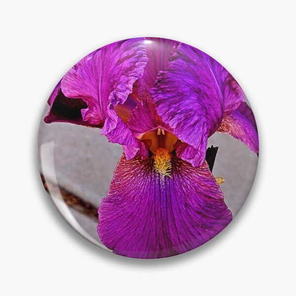 Item preview, Purple iris designed and sold by Courtney Croxall.