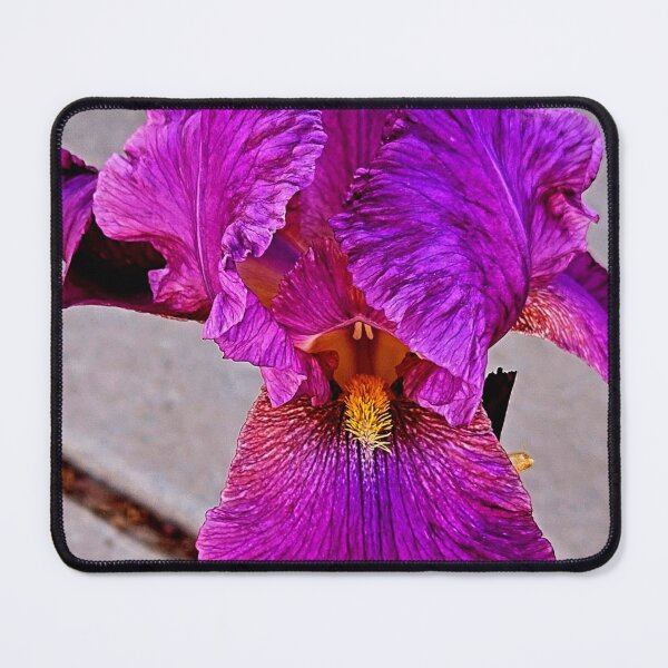 Item preview, Purple iris designed and sold by Courtney Croxall.