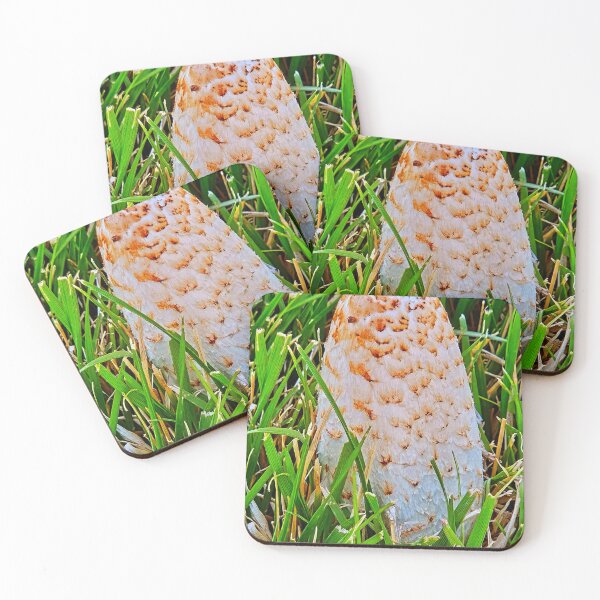 Item preview, Seta designed and sold by Courtney Croxall.
