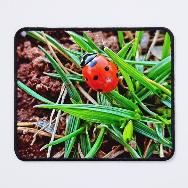 Item preview, Ladybug designed and sold by Courtney Croxall.