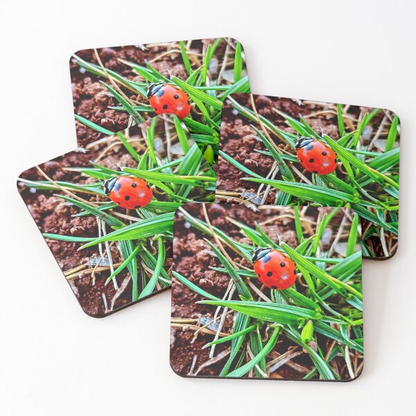 Item preview, Ladybug  designed and sold by Courtney Croxall.