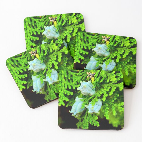 Item preview, Blue berries designed and sold by Courtney Croxall.