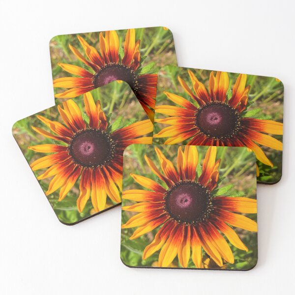 Item preview, Sunbeam designed and sold by Courtney Croxall.