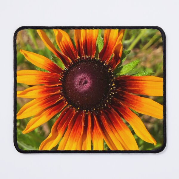 Item preview, Sunbeam designed and sold by Courtney Croxall.
