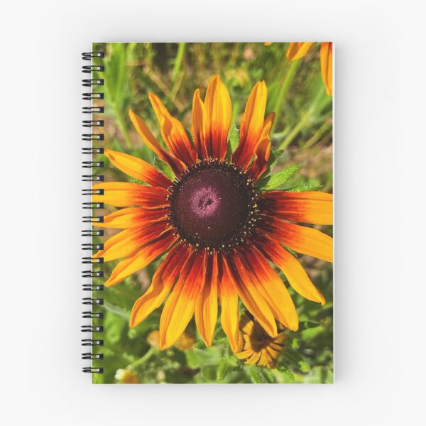 Item preview, Sunbeam designed and sold by Courtney Croxall.