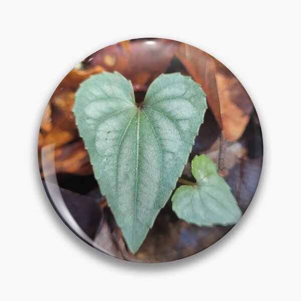 Item preview, "Love Nature" designed and sold by BreathtoMotion.