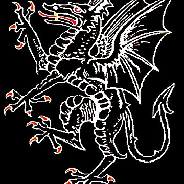 Artwork thumbnail, Black on Black Dragon Rampant by Murph's Images