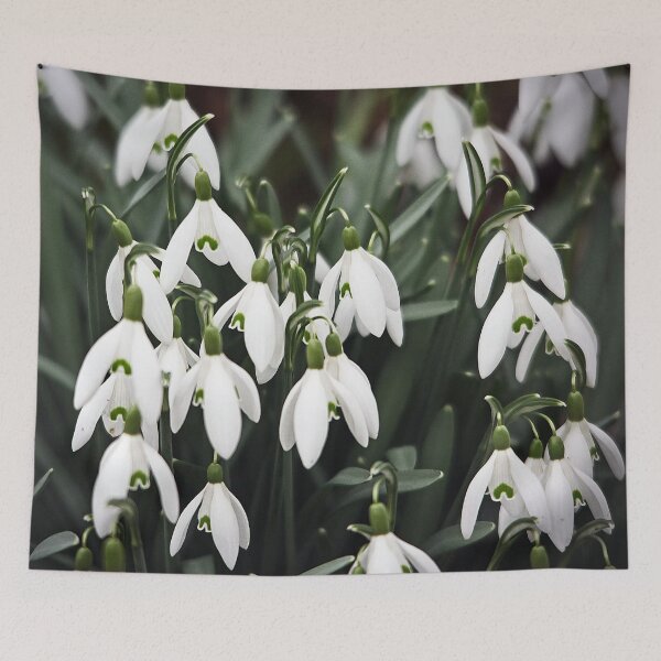 Item preview, snowdrops designed and sold by Murph's Images.