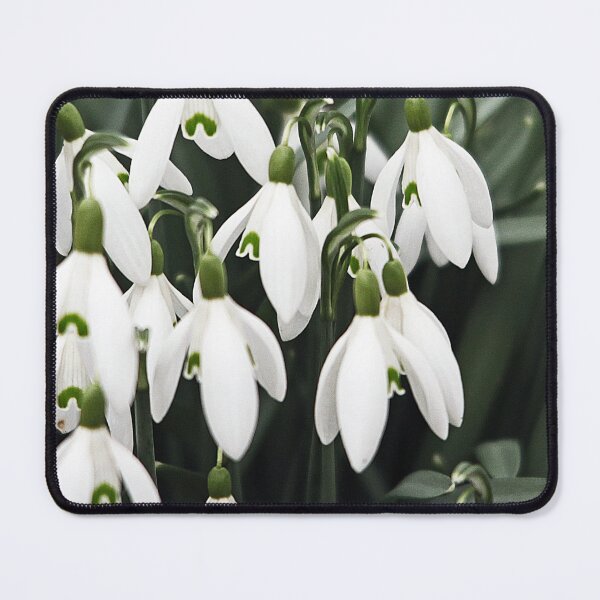 Item preview, snowdrops designed and sold by Murph's Images.