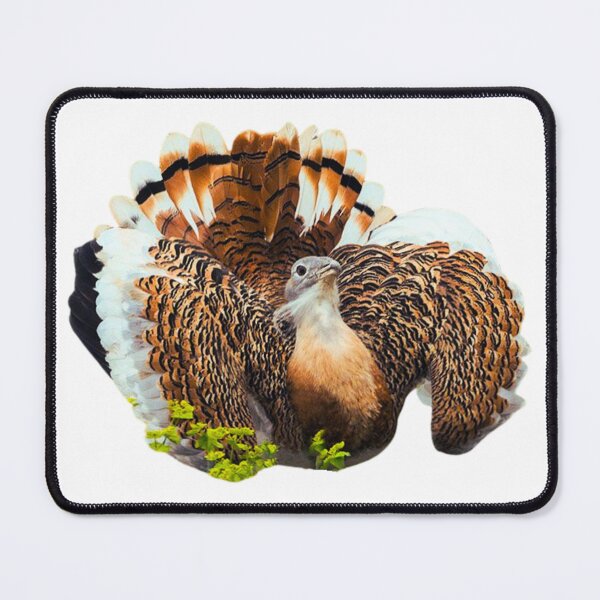 Item preview, Great bustard designed and sold by di-Vera-Rosati.