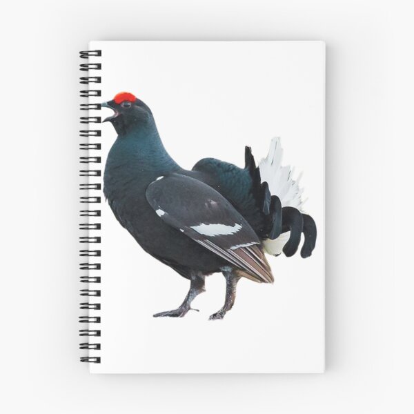 Item preview, Capercaillie  designed and sold by di-Vera-Rosati.