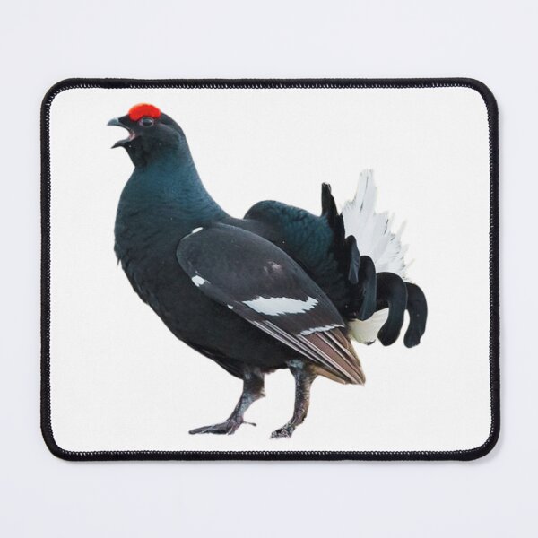 Item preview, Capercaillie  designed and sold by di-Vera-Rosati.