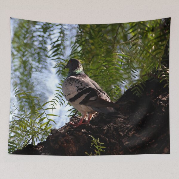 Item preview, Looking For His Mate designed and sold by heatherfriedman.