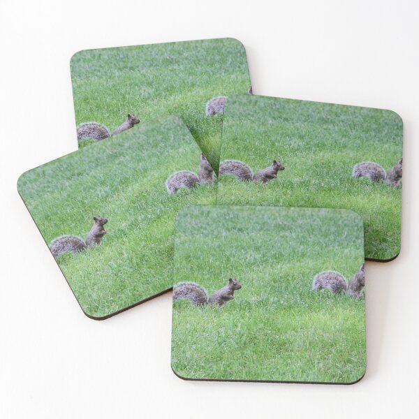 Item preview, Follow Me, I know Where the Food Is! designed and sold by heatherfriedman.