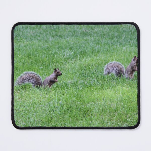 Item preview, Follow Me, I know Where the Food Is! designed and sold by heatherfriedman.