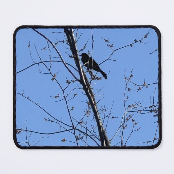 Item preview, Crow in Spring designed and sold by Mychaila's Creations.