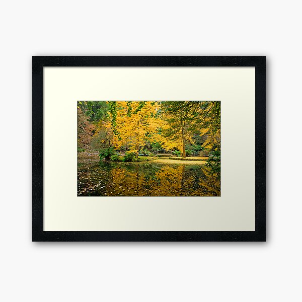 Item preview, Bursts of yellow at Alfred Nicholas Gardens designed and sold by Elana Bailey.