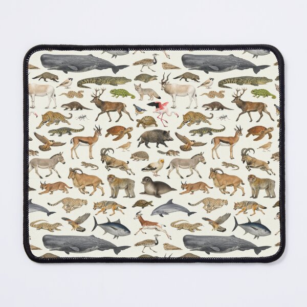 Item preview, Animals of Northern Africa Retro Wildlife Identification Chart designed and sold by kakarikihill.
