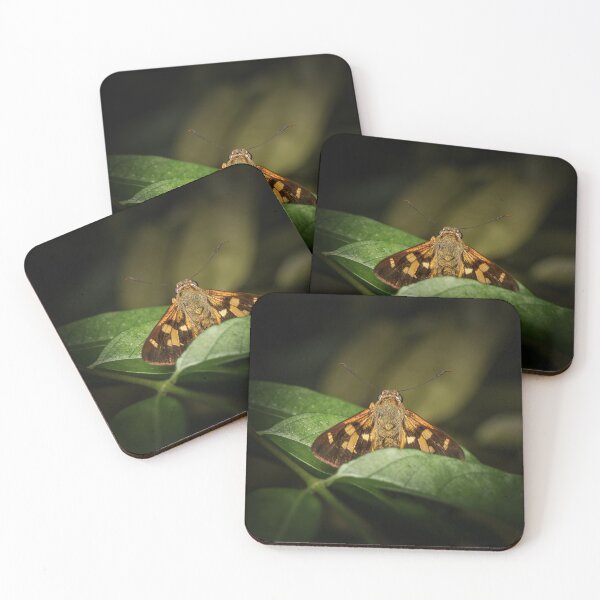Item preview, Splendid Ochre Butterfly designed and sold by robdwildlife.