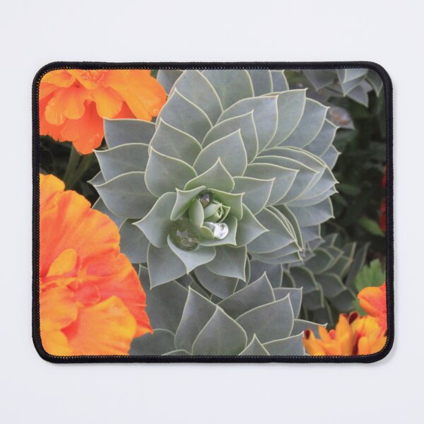 Item preview, Succulent Spiral designed and sold by Rob's Photographic Oddities, Etc..
